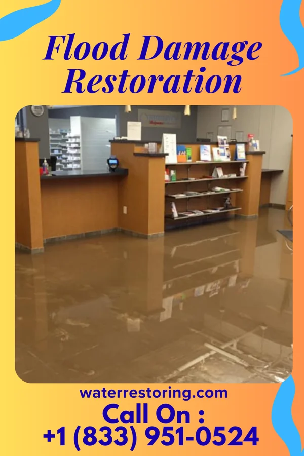 Flood Damage Restoration in Pelham, GA